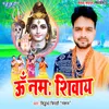 About Om Namah Shivaye Song